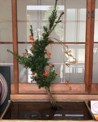 紙野いけばな教室 – 大阪・姫路のいけばな教室 花工房SAKURA.咲